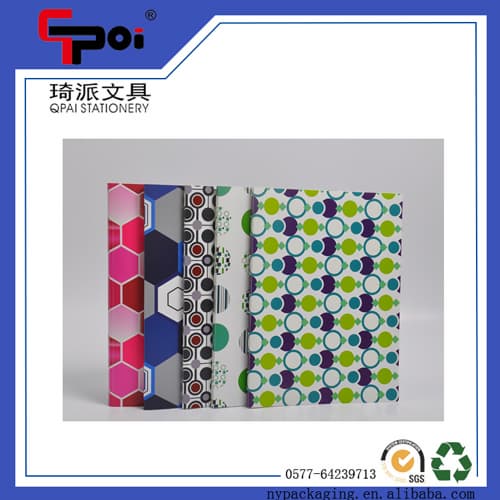 Solid Color PP Display Book Clear File